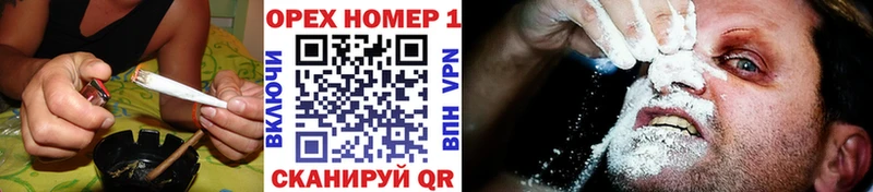 купить наркоту  гидра как зайти  Cocaine FishScale  Беломорск 