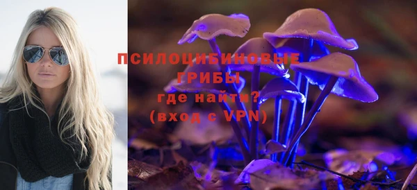 эйфоретик Богородск