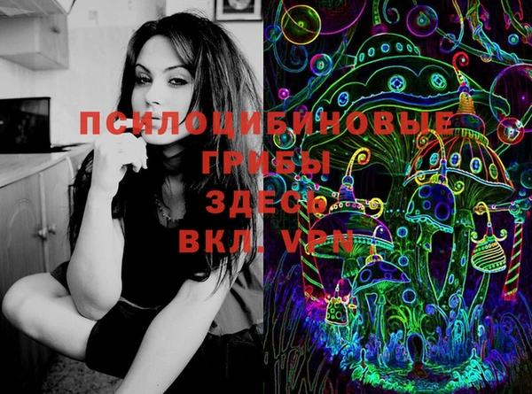 прущие грибы Осинники