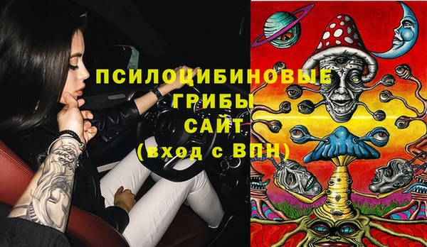 эйфоретик Богородск